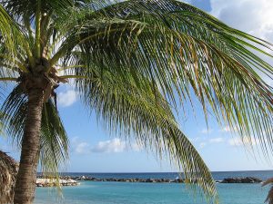 Corendon-vakanties-naar-Curacao41