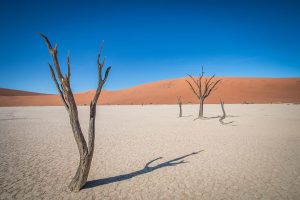Deadvlei-Namibie
