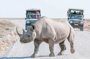 Goedkope-safari-Afrika16