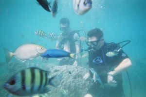 Goedkope vakantie Koh Phi Phi eilanden5